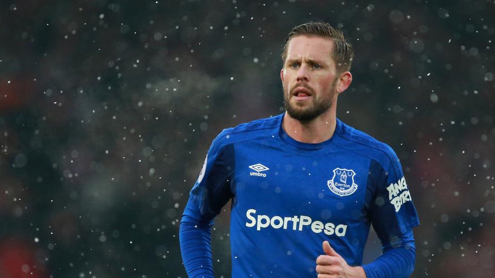 体育场馆升级工程正式启动